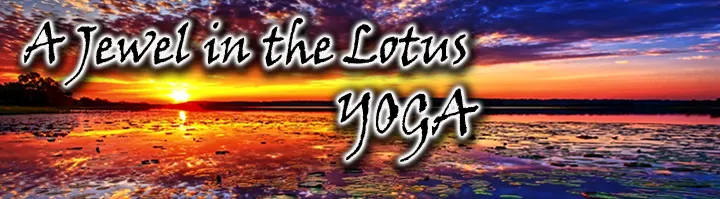 A Jewel In The Lotus Header Image